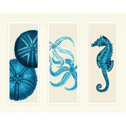 Three Panel Print Sea Urchin Starfish and Seahorse in Blue Black Modern Wood Framed Art Print with Double Matting by Fab Funky