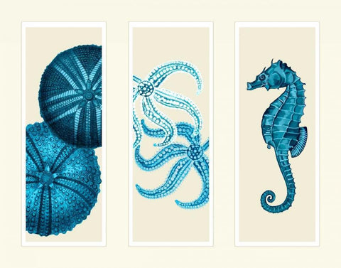 Three Panel Print Sea Urchin Starfish and Seahorse in Blue White Modern Wood Framed Art Print with Double Matting by Fab Funky