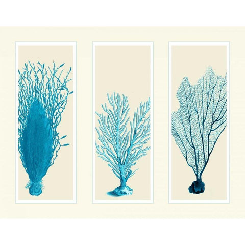 Blue Corals on 3 Panels Gold Ornate Wood Framed Art Print with Double Matting by Fab Funky