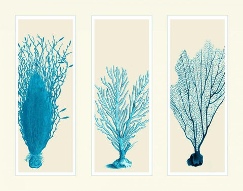 Blue Corals on 3 Panels White Modern Wood Framed Art Print with Double Matting by Fab Funky