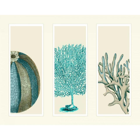 Blue Corals and Sea Urchins in 3 Panels White Modern Wood Framed Art Print by Fab Funky