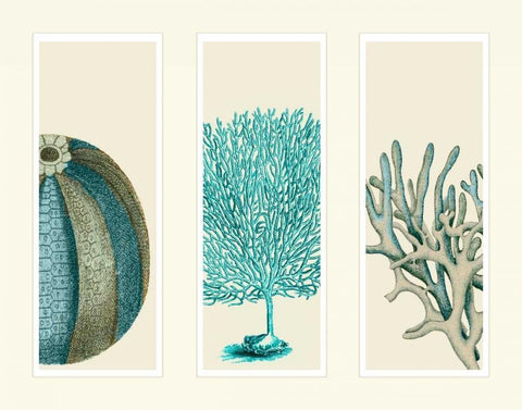 Blue Corals and Sea Urchins in 3 Panels White Modern Wood Framed Art Print with Double Matting by Fab Funky