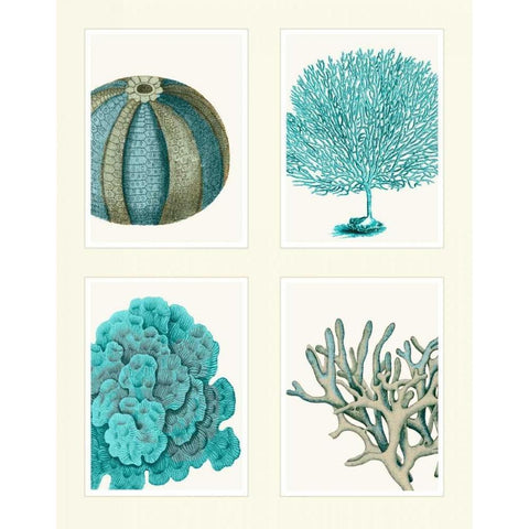 Blue Corals and Sea Urchins in 4 Panels Black Modern Wood Framed Art Print with Double Matting by Fab Funky