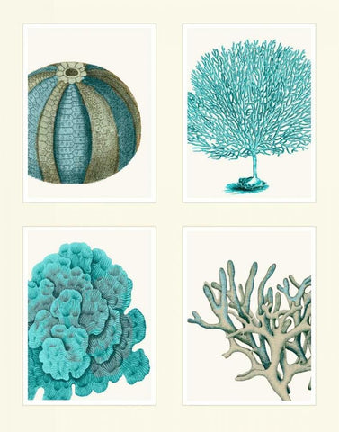 Blue Corals and Sea Urchins in 4 Panels White Modern Wood Framed Art Print with Double Matting by Fab Funky