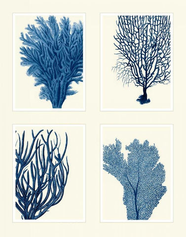 Blue Coral Print on 4 Panels White Modern Wood Framed Art Print with Double Matting by Fab Funky