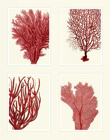 Red Coral Print on 4 Panels White Modern Wood Framed Art Print with Double Matting by Fab Funky