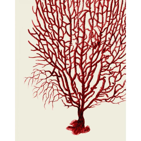 Red Corals 2 b White Modern Wood Framed Art Print by Fab Funky