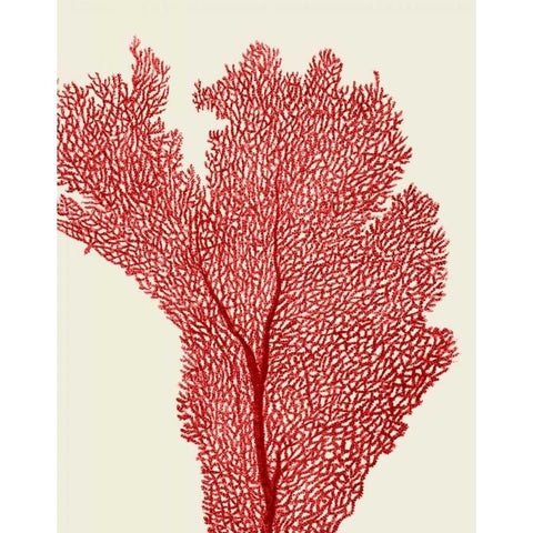 Red Corals 2 e Black Modern Wood Framed Art Print with Double Matting by Fab Funky