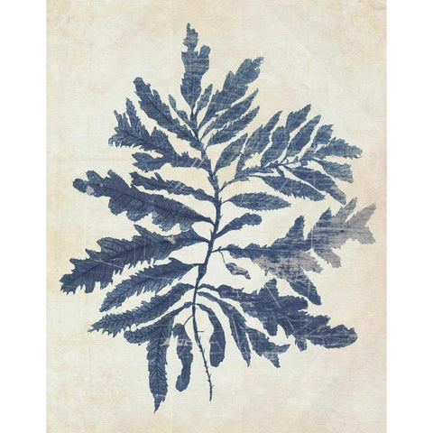 Indigo Blue Seaweed 2 b Black Modern Wood Framed Art Print with Double Matting by Fab Funky