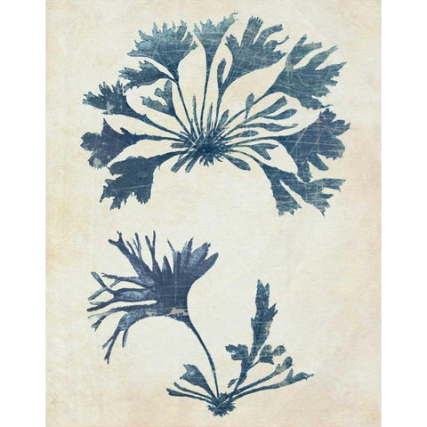 Indigo Blue Seaweed 2 d White Modern Wood Framed Art Print by Fab Funky