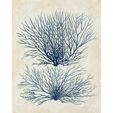 Indigo Blue Seaweed 1 a White Modern Wood Framed Art Print by Fab Funky