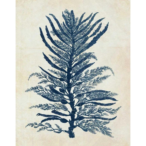 Indigo Blue Seaweed 1 b White Modern Wood Framed Art Print by Fab Funky