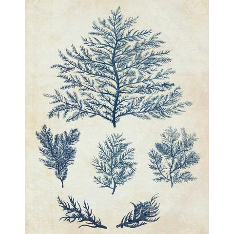 Indigo Blue Seaweed 1 c White Modern Wood Framed Art Print by Fab Funky