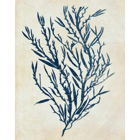 Indigo Blue Seaweed 3 b Black Modern Wood Framed Art Print with Double Matting by Fab Funky