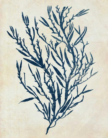 Indigo Blue Seaweed 3 b White Modern Wood Framed Art Print with Double Matting by Fab Funky