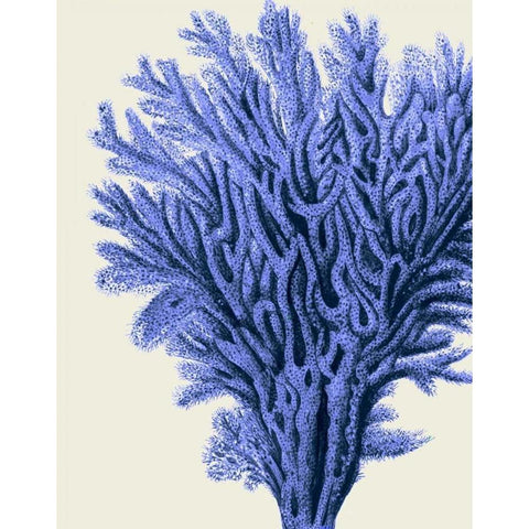 Blue Corals 2 a Black Modern Wood Framed Art Print with Double Matting by Fab Funky