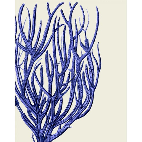 Blue Corals 2 c White Modern Wood Framed Art Print by Fab Funky