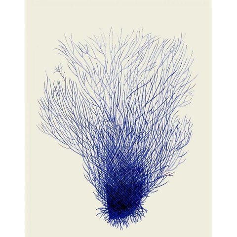 Blue Corals 2 d Black Modern Wood Framed Art Print with Double Matting by Fab Funky