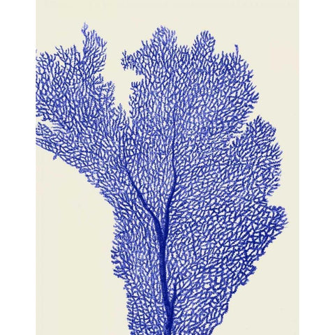 Blue Corals 2 e White Modern Wood Framed Art Print by Fab Funky