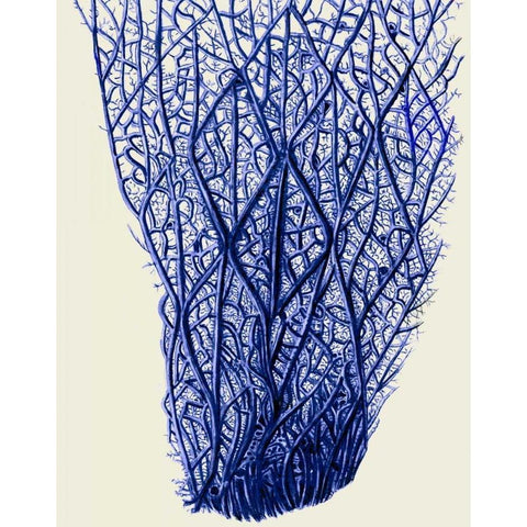 Blue Corals 2 f White Modern Wood Framed Art Print by Fab Funky