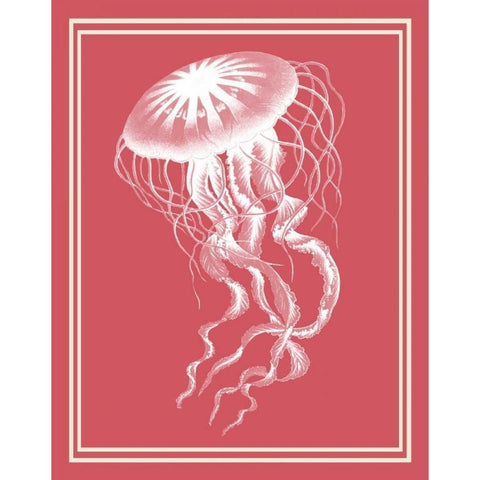 Mixed Nautical White on Coral b Gold Ornate Wood Framed Art Print with Double Matting by Fab Funky