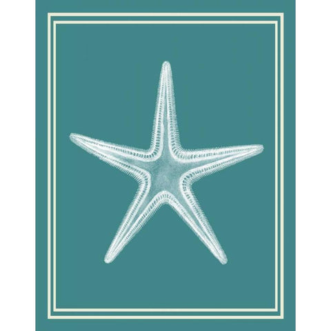 Mixed Nautical White on Teal a White Modern Wood Framed Art Print by Fab Funky