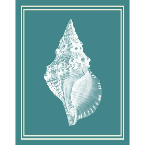 Mixed Nautical White on Teal c White Modern Wood Framed Art Print by Fab Funky