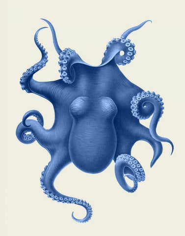 Blue Octopus on Cream d White Modern Wood Framed Art Print with Double Matting by Fab Funky