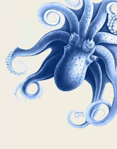 Blue Octopus on Cream f White Modern Wood Framed Art Print with Double Matting by Fab Funky