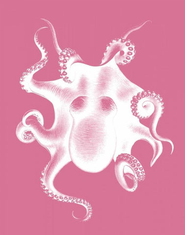 Octopus White on Pink c White Modern Wood Framed Art Print with Double Matting by Fab Funky