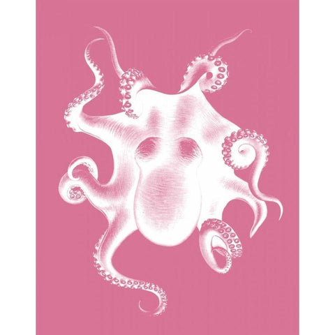 Octopus White on Pink c White Modern Wood Framed Art Print by Fab Funky