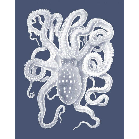 White Octopus on Indigo Blue a Black Modern Wood Framed Art Print with Double Matting by Fab Funky