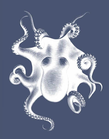 White Octopus on Indigo Blue d White Modern Wood Framed Art Print with Double Matting by Fab Funky