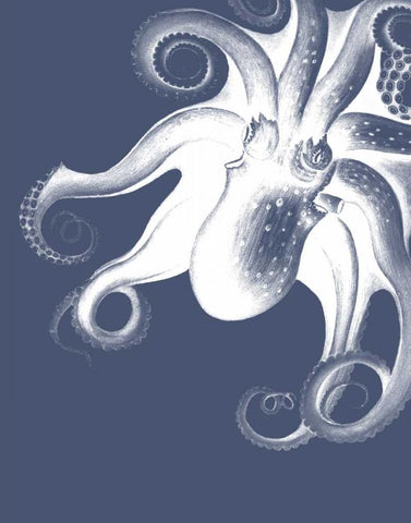 White Octopus on Indigo Blue f White Modern Wood Framed Art Print with Double Matting by Fab Funky