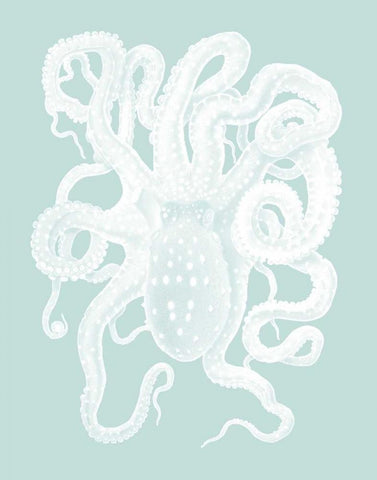 White Octopus on Seafoam a Black Ornate Wood Framed Art Print with Double Matting by Fab Funky