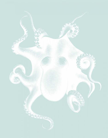 White Octopus on Seafoam d White Modern Wood Framed Art Print with Double Matting by Fab Funky