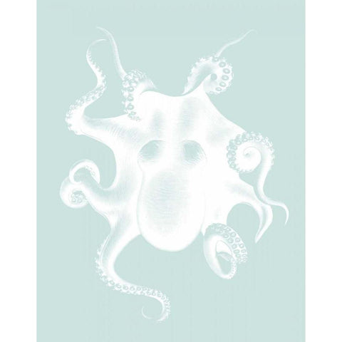 White Octopus on Seafoam d Black Modern Wood Framed Art Print with Double Matting by Fab Funky