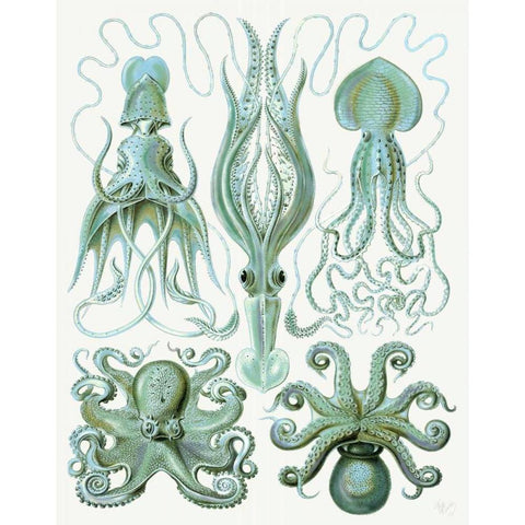 Turquoise Octopus and Squid b Black Modern Wood Framed Art Print with Double Matting by Fab Funky