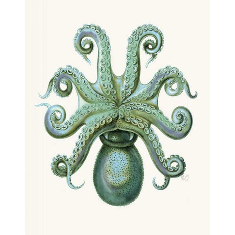 Turquoise Octopus and Squid c Black Modern Wood Framed Art Print with Double Matting by Fab Funky