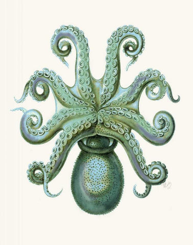 Turquoise Octopus and Squid c White Modern Wood Framed Art Print with Double Matting by Fab Funky