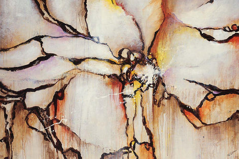 Equate Black Ornate Wood Framed Art Print with Double Matting by Drotar, Rikki