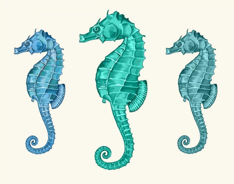 Seahorse Trio White Modern Wood Framed Art Print with Double Matting by Fab Funky