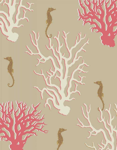 Coral and Seahorse in Beige Black Ornate Wood Framed Art Print with Double Matting by Fab Funky