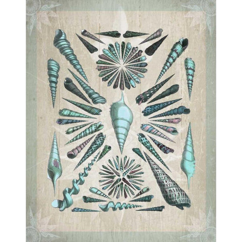 Shell Collection 5 White Modern Wood Framed Art Print by Fab Funky