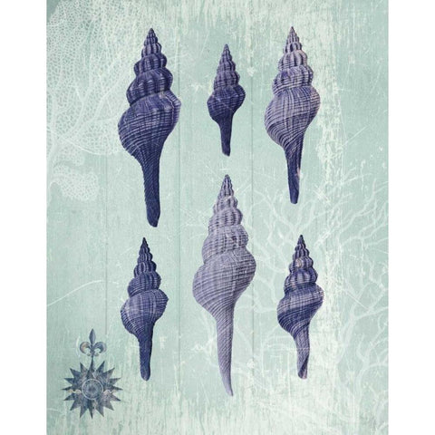 Seashell Collection 2 c White Modern Wood Framed Art Print by Fab Funky