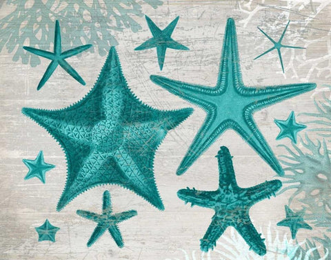 Green Starfish Collection Black Ornate Wood Framed Art Print with Double Matting by Fab Funky