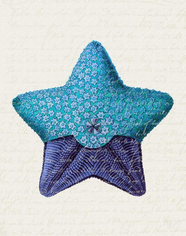 Starfish in Shades of Blue a White Modern Wood Framed Art Print with Double Matting by Fab Funky