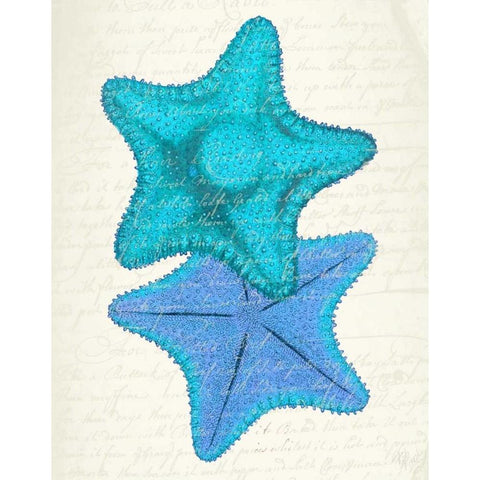 Starfish in Shades of Blue b Black Modern Wood Framed Art Print with Double Matting by Fab Funky