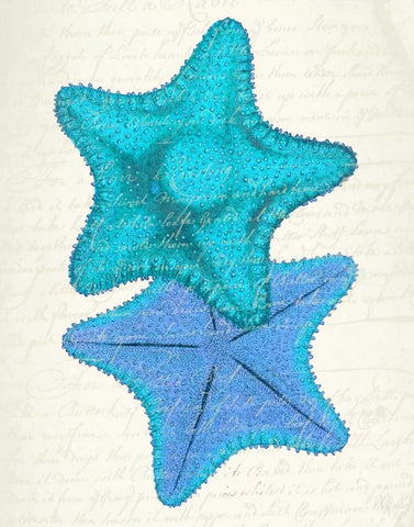 Starfish in Shades of Blue b White Modern Wood Framed Art Print with Double Matting by Fab Funky