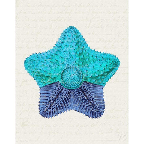 Starfish in Shades of Blue c Gold Ornate Wood Framed Art Print with Double Matting by Fab Funky